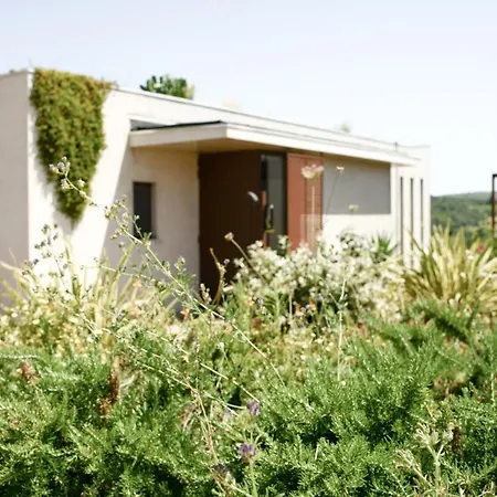 Du Mas Palat * Gignac (Herault)